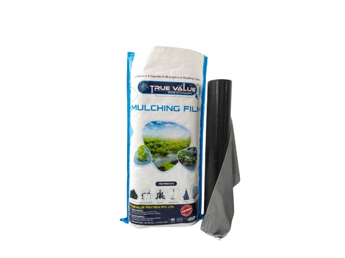 True Value product catalogue